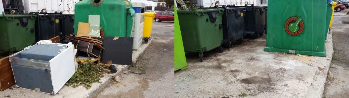 Foto recogida podas