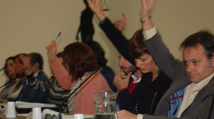 pleno PSOE Estepona