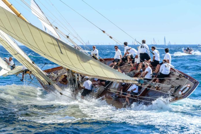 Foto del Mariska, ganador en 2017