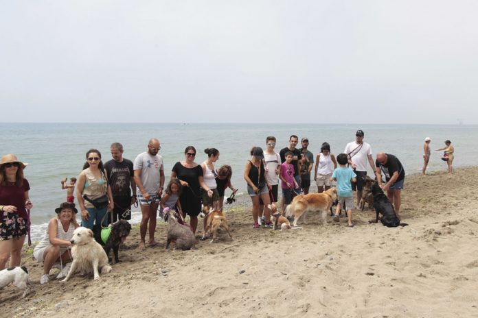 PLayas Caninas