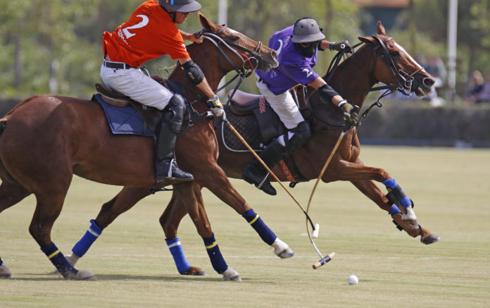 Santa María Polo Club