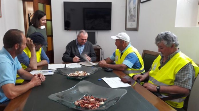 firma-contrato-plan-de-empleo-andaluz-1030x579