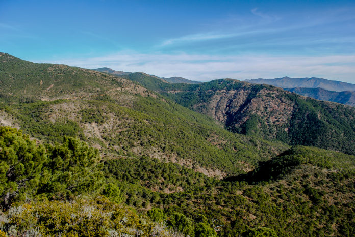 Sierra Bermeja 2