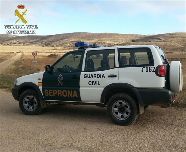Foto Seprona GC