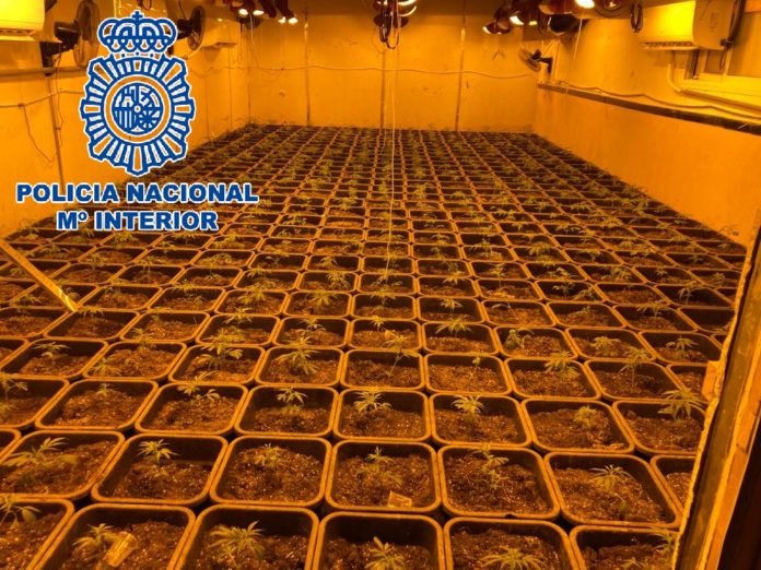 Foto de la Policía