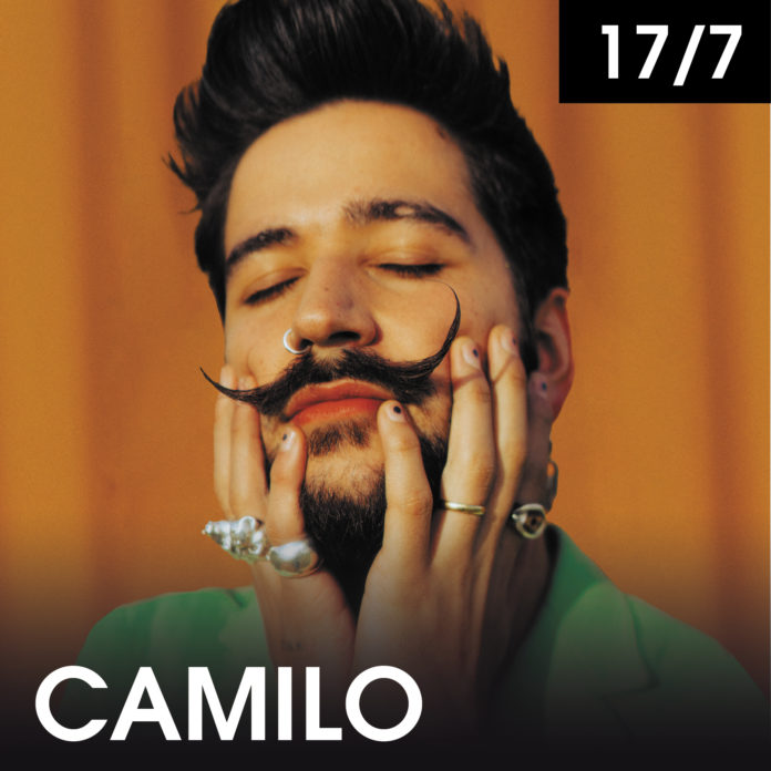 0717_Camilo_LineaGraficaAuditorio