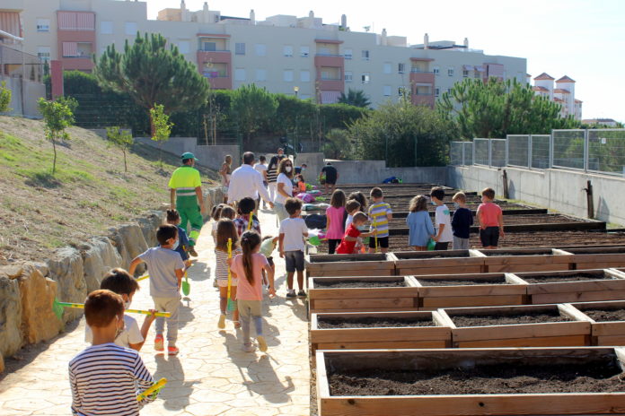 Foto Huerto Escolar