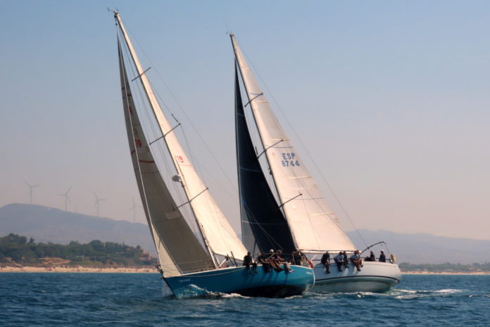regata (3)
