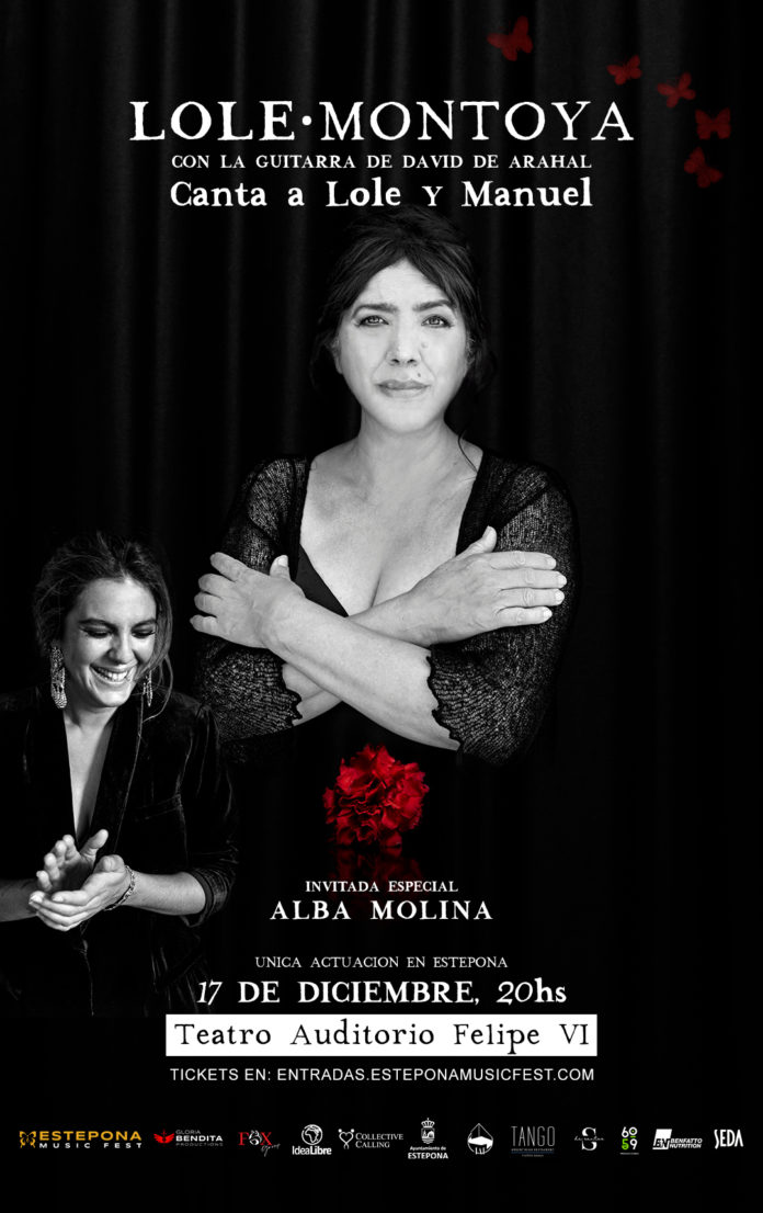 Cartel Concierto Lole
