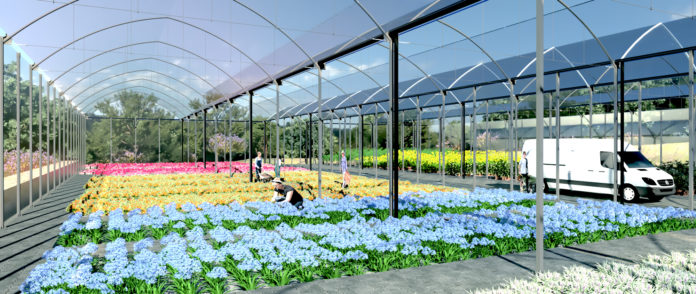 VIVERO LAS CHAPAS_E-10_INTERIOR