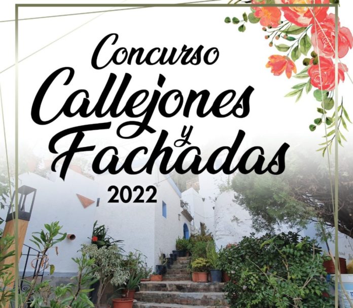 cartel-concurso-de-callejones-y-fachadas-copia-1030x897