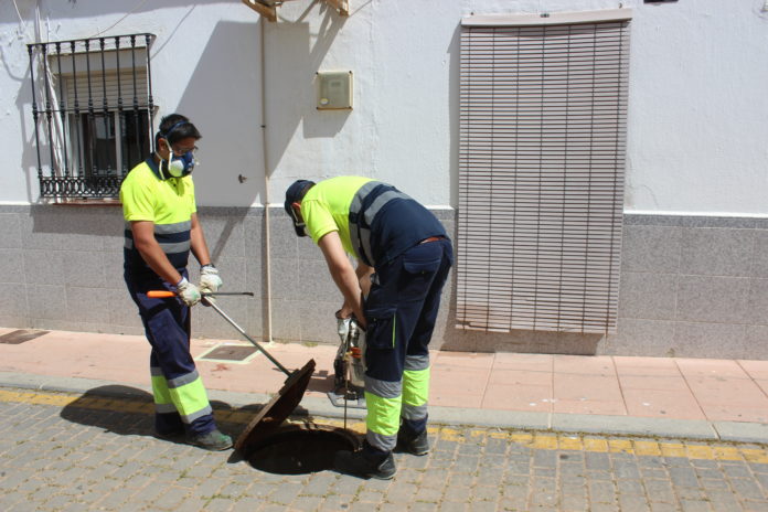 Foto Campaña desratización