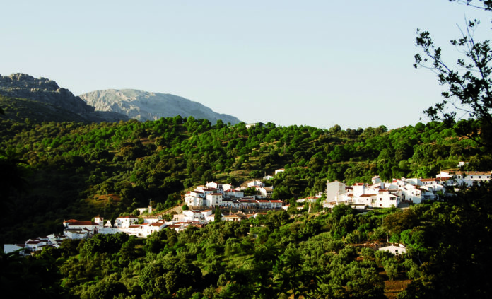 Valle del Genal (fotografía de Felipe Crespo)