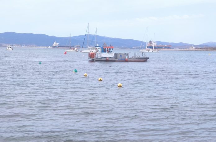 LIMPIEZA VERTIDO EN PONIENTE 1