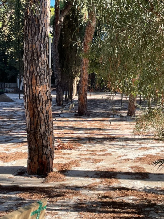 Parque Vigil de Quiñones. Actual remodelación con hormigon
