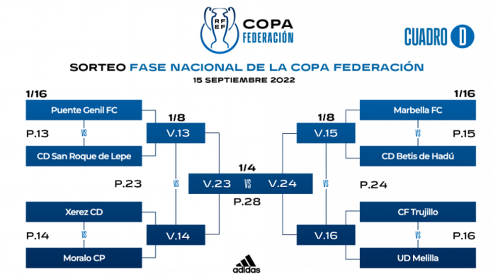 cuadro_d_copafederacion_2022
