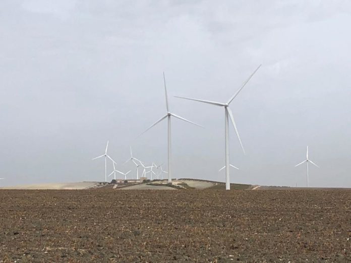 Foto aerogenerador CEPSA en Jerez