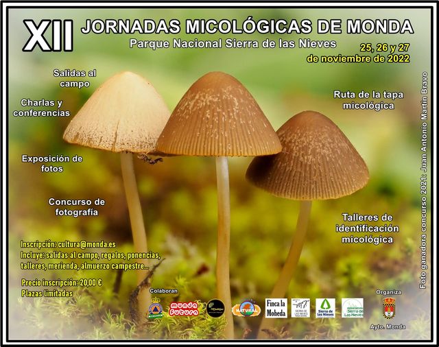 Cartel Jornadas Micológicass