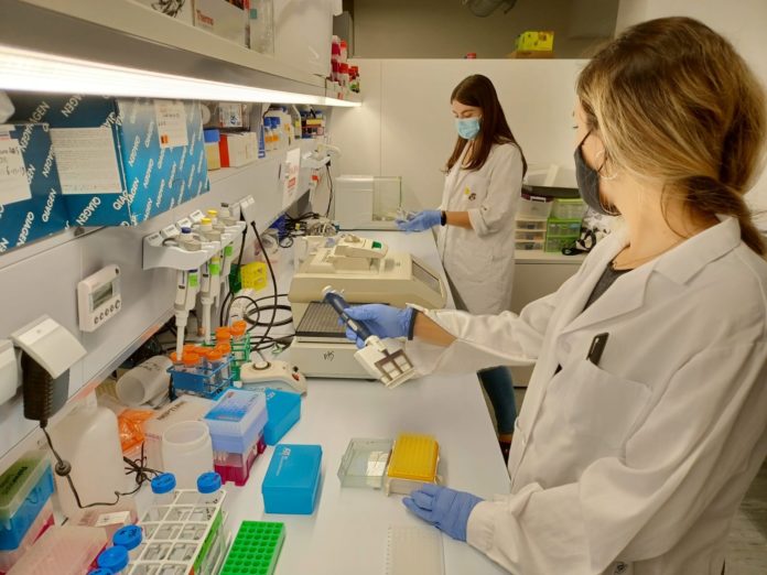 Científicas de Vithas en el Laboratorio de Tumores Cerebrales de su Fund...