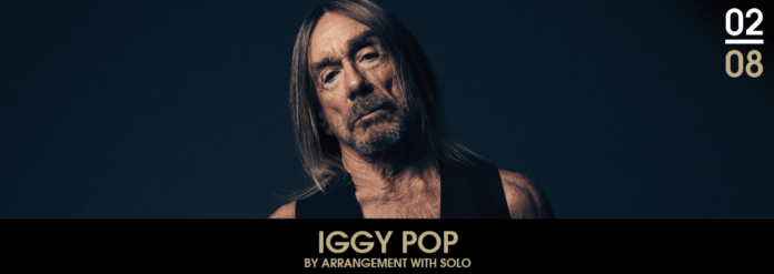 Foto Iggy Pop cartel