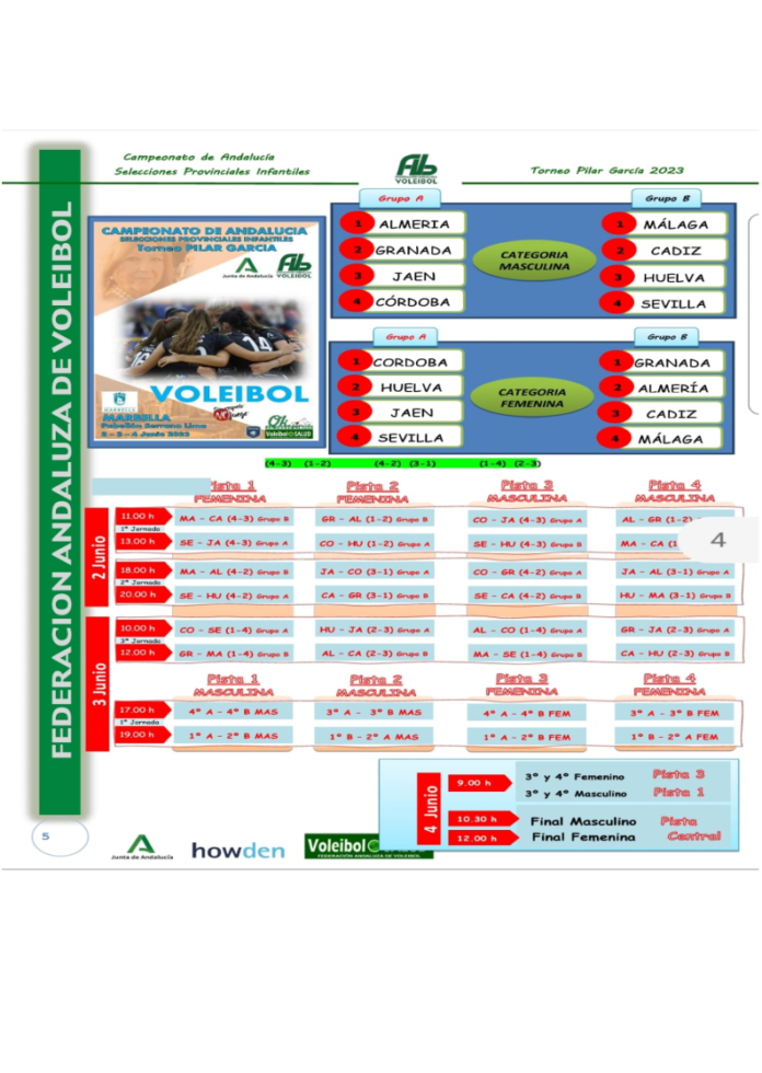 CARTEL VOLEIBOL (3)