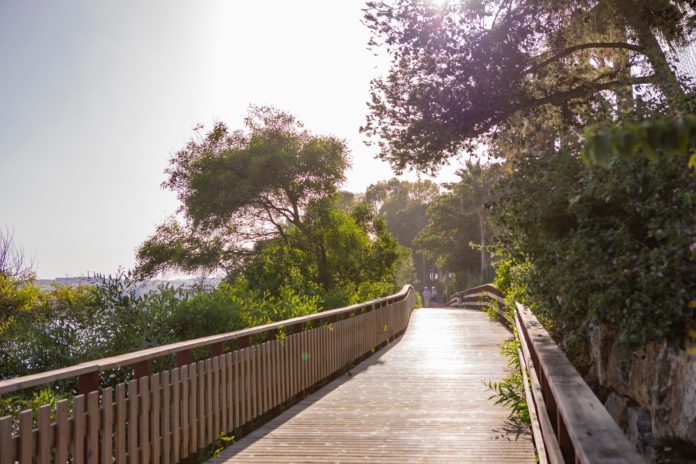 senda