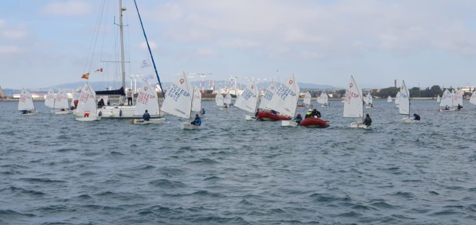 Optimist_La linea
