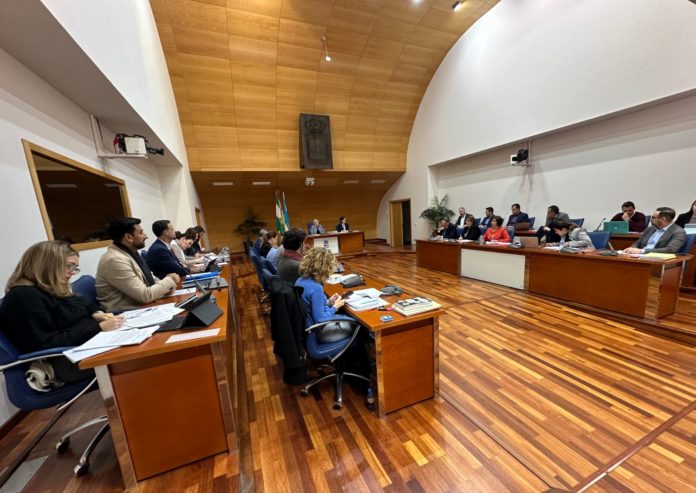 Imagen-del-Pleno-de-diciembre