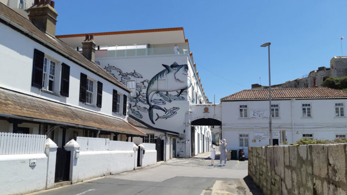 Recreacion-exterior-acuario-mural-peces_1880522043_205352623_1200x675