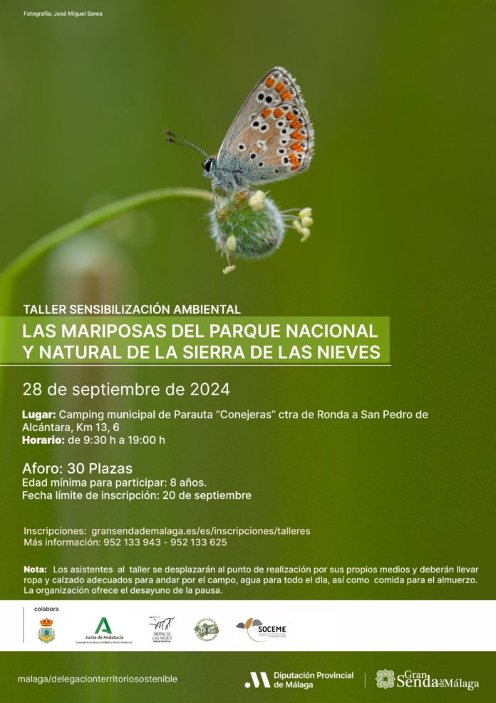 taller-mariposas