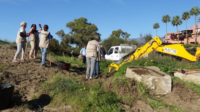 7.1.2025 El Alicate Cañas (6)