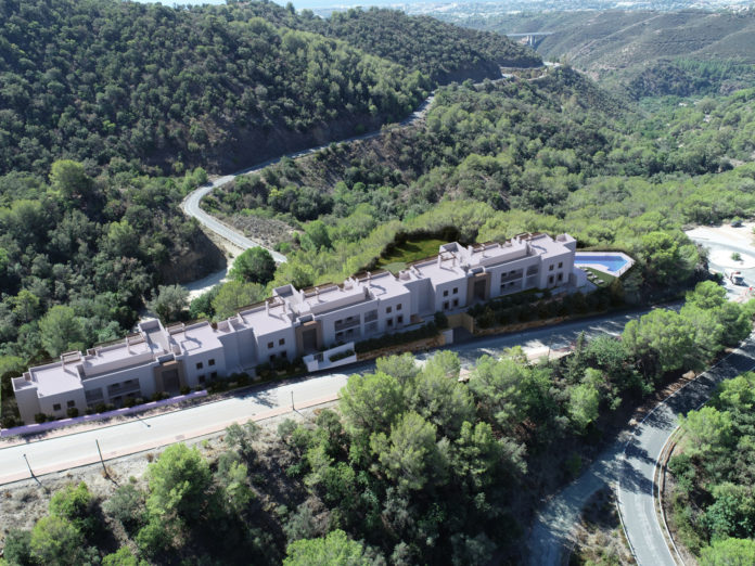 Almazara Forest entre la Sierra de las Nieves