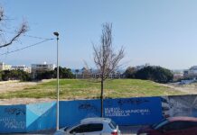 IU Marbella "exige transparencia ante la parálisis del nuevo estadio municipal y cuestiona la concesión"