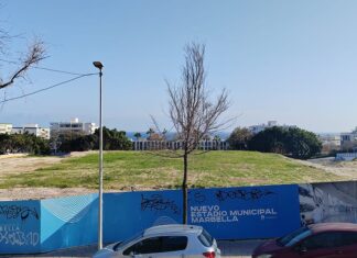IU Marbella "exige transparencia ante la parálisis del nuevo estadio municipal y cuestiona la concesión"